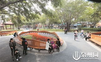 泉州園林景觀開始選美啦！全市32個綠化工程項目比拼綠色營造