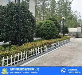 合肥綠化養護 合肥軒晨園藝公司 園林綠化養護